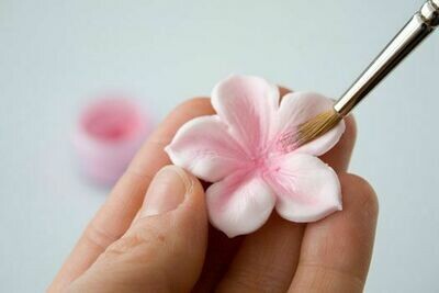Gum Paste, Modeling Paste, &amp; Modeling Chocolate