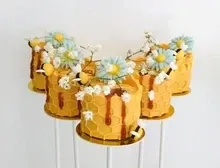 Cake Pop Mold Cake