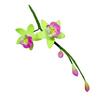 PME Cymbidium Orchid Cutter