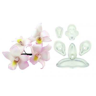 Singapore Orchid/5