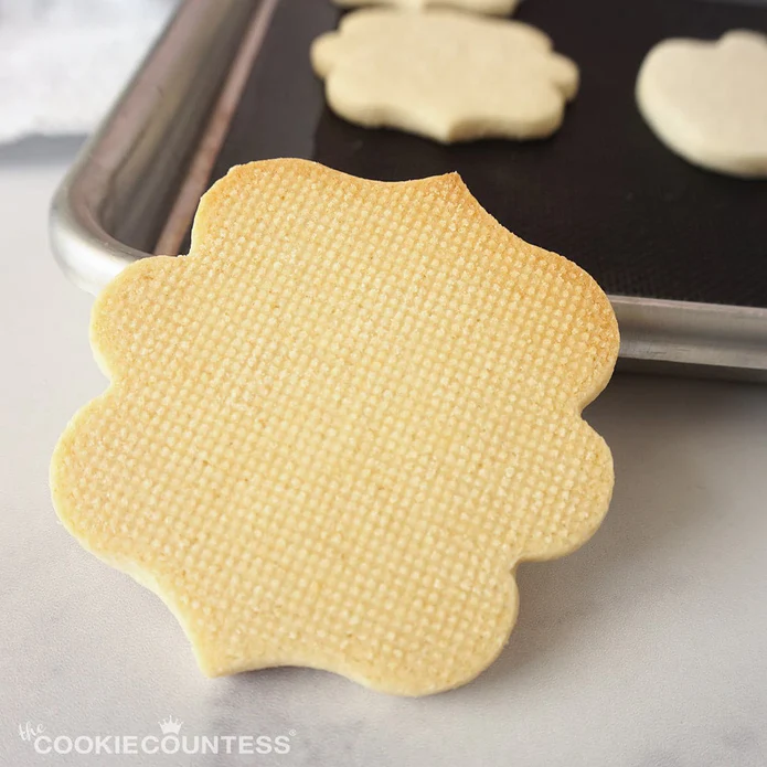 Mesh Non Stick Baking Mat Small