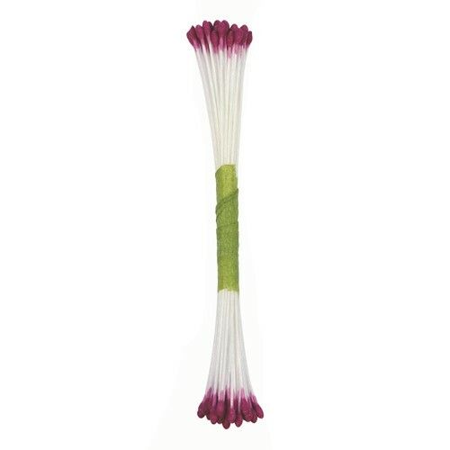 Fine Plain Purple Stamen