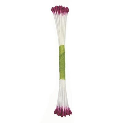 Fine Plain Purple Stamen