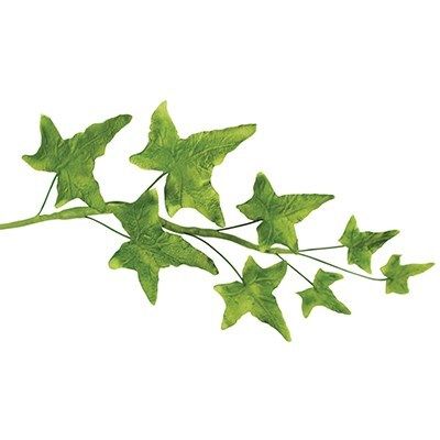 Small Ivy Set/4