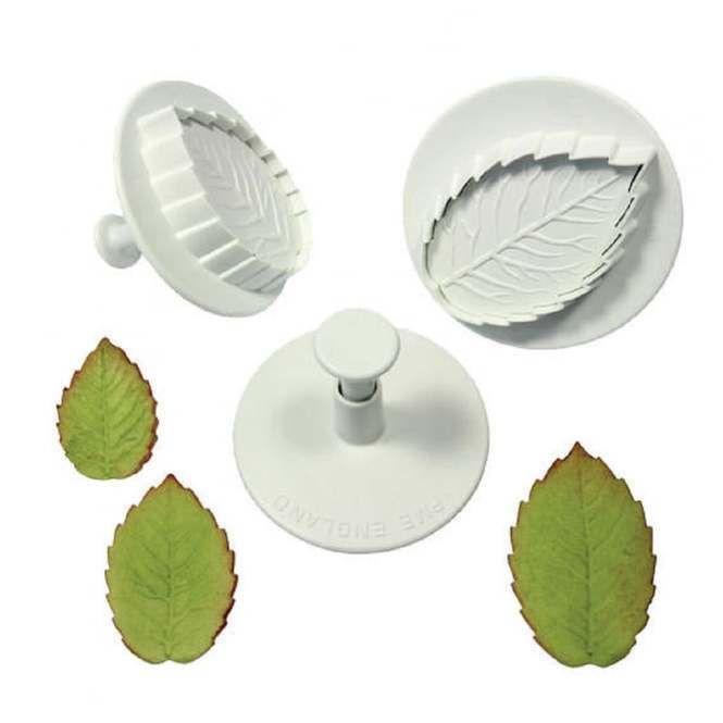 Veined ROSE Leaf #3