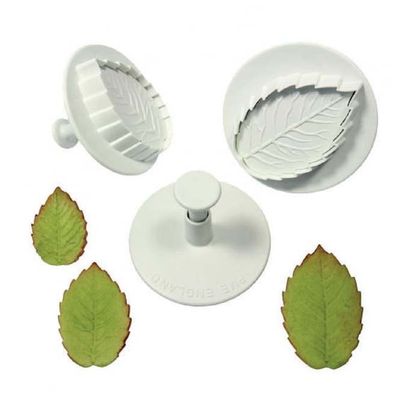 Veined ROSE Leaf #3