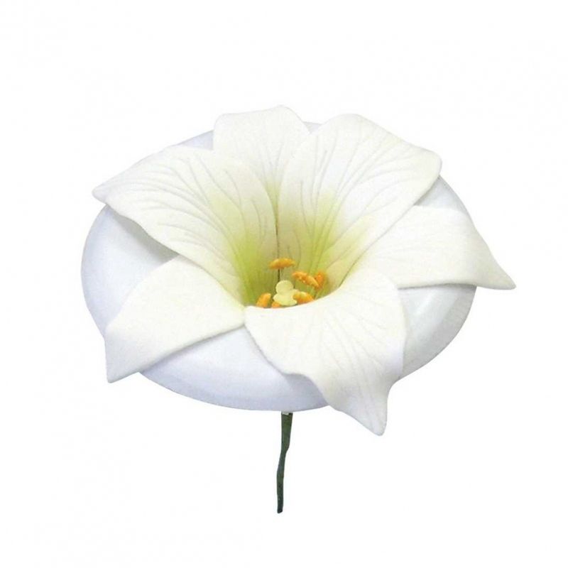 Lily Former