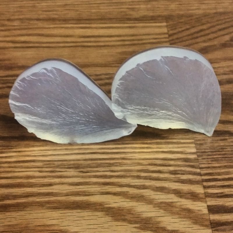 Hibiscus Petal Veiner