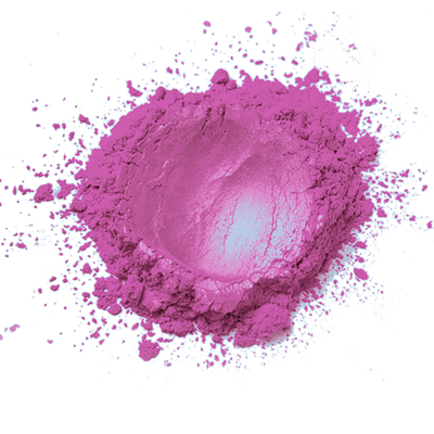 Sterling Pearl Hydrangea