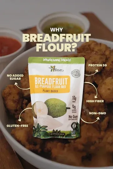All-Purpose Breadfruit Flour Mix – Gluten-Free, High Fiber, Plant-Based, 24 oz