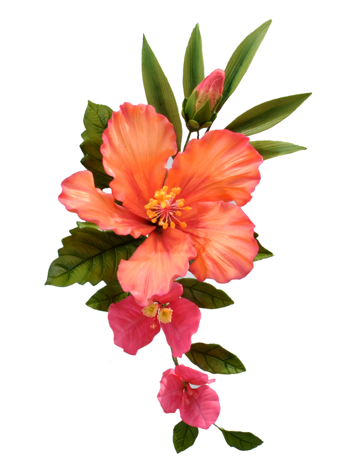 AMAZING Edible Flower Workshop! Tropical Hibiscus &amp; Bougainvillea from the Nicholas Lodge Legacy Collections Classes by Chef Donald Joiner at TSCS on JUNE 20, 2026 9:00 Am to 4:30 pm ALL DAY CLASS !