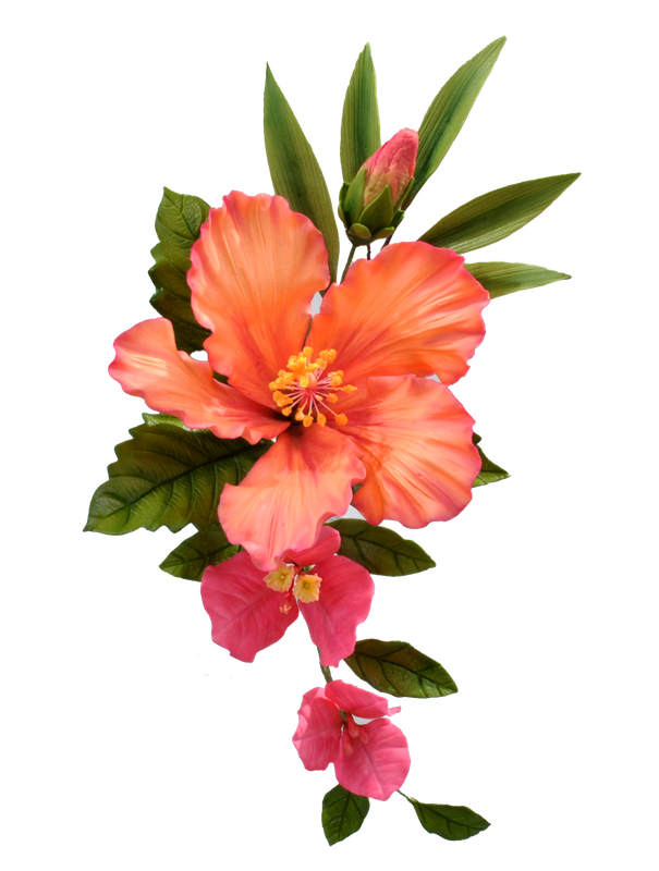 AMAZING Edible Flower Workshop! Tropical Hibiscus &amp; Bougainvillea from the Nicholas Lodge Legacy Collections Classes by Chef Donald Joiner at TSCS on JUNE 20, 2026 9:00 Am to 4:30 pm ALL DAY CLASS !