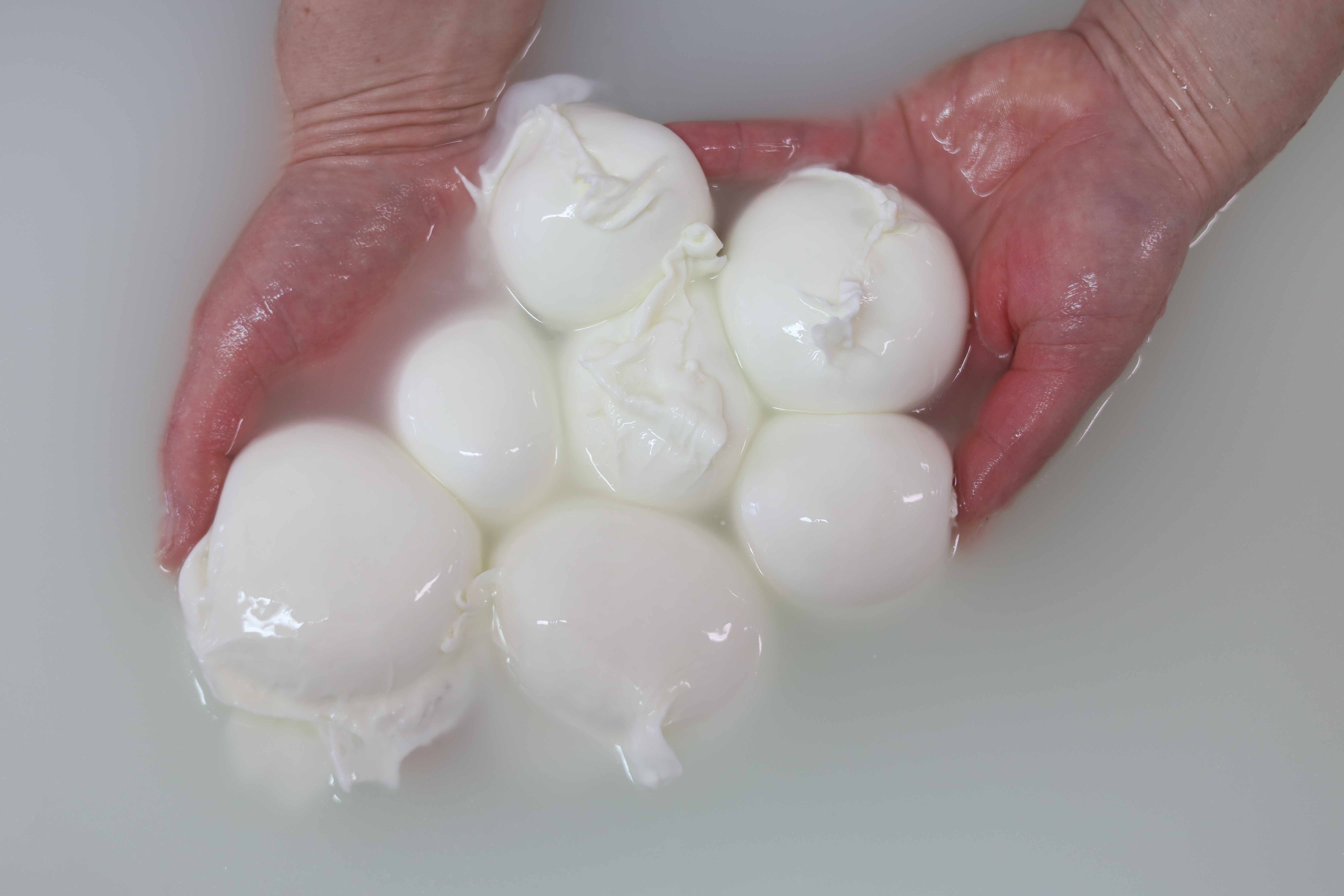 Bocconcini di mozzarella al latte di bufala
