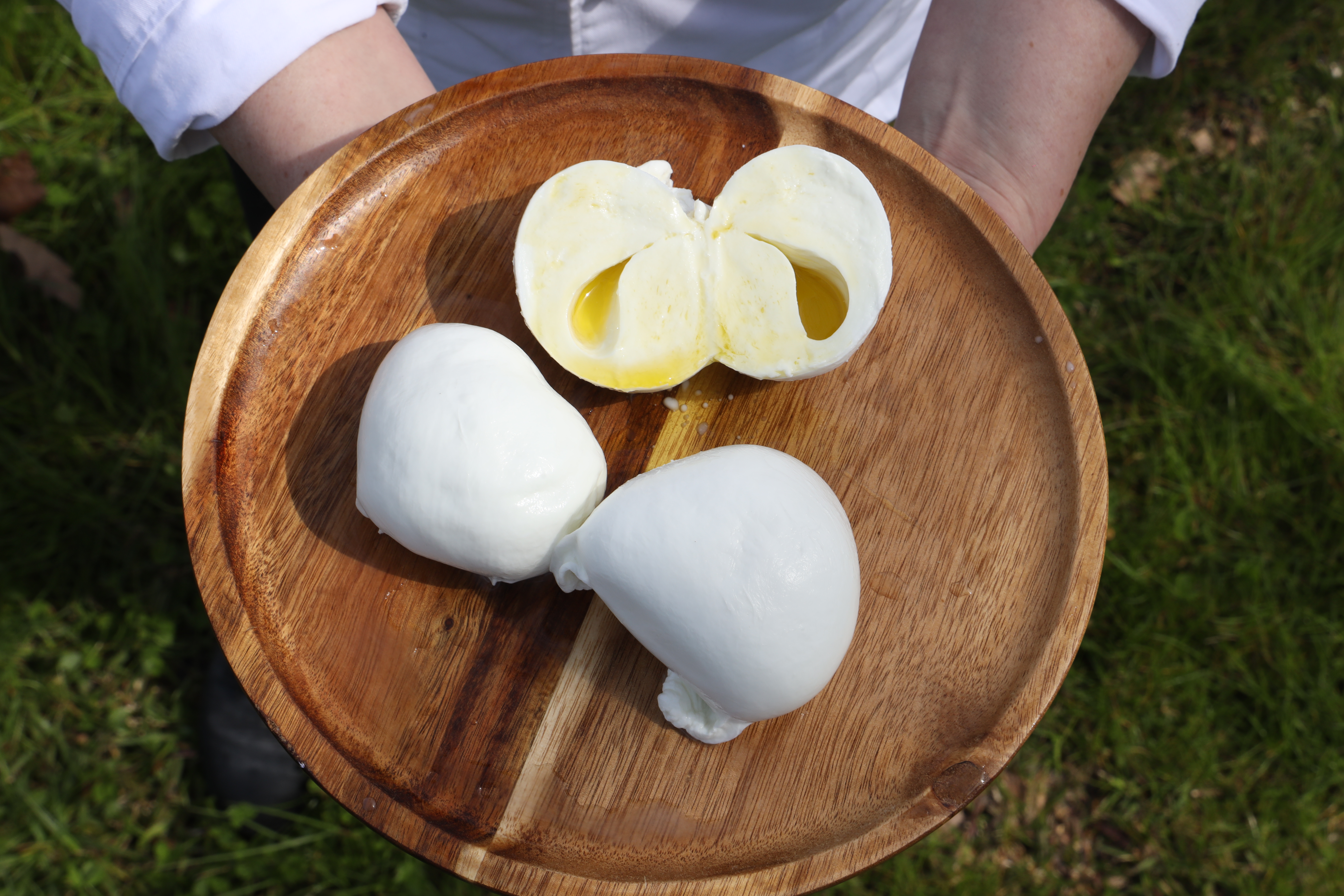 Mozzarolì specialità gastronomica con bufala e olio d'oliva 250g