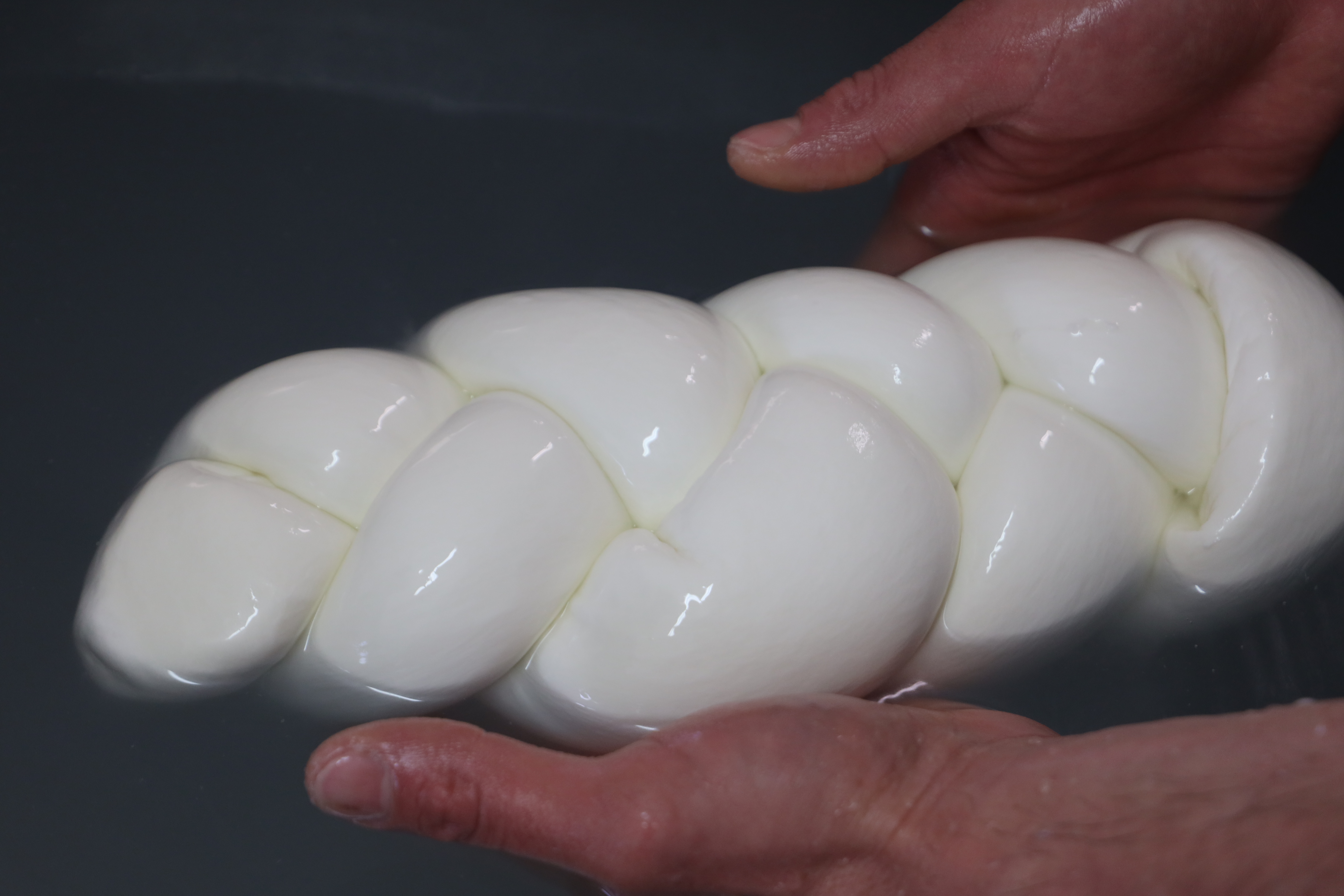 Treccia al latte di bufala