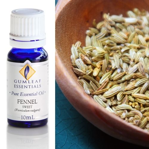 Fennel Sweet Essential Oil