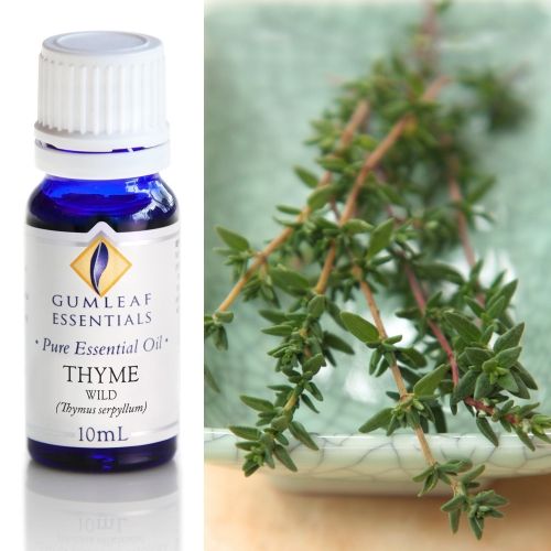 Thyme (Wild)  Essential Oil