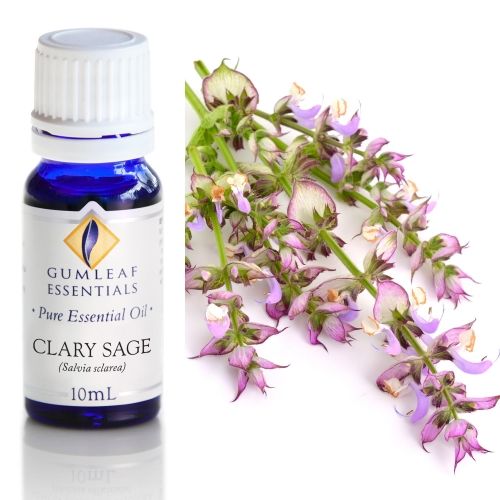 Clary Sage Essential Oil
