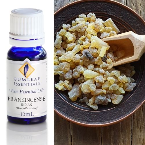 Frankincense (Indian) Essential Oil