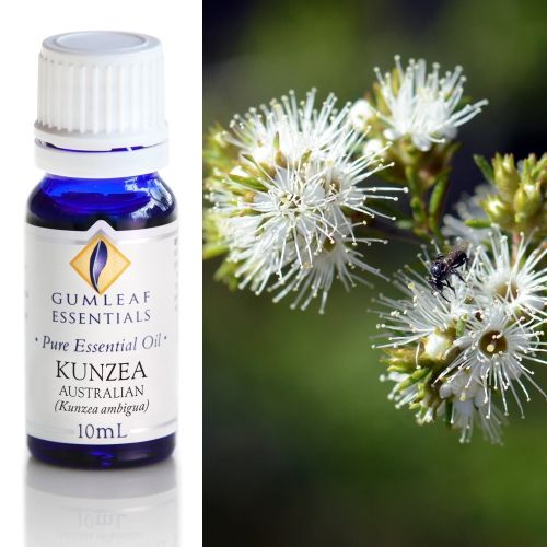 Kunzea (Australian) Essential Oil