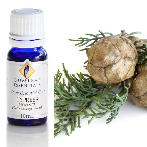Cypress (Provence) Essential Oil