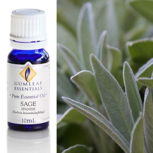 Sage (Spanish) Essential Oil
