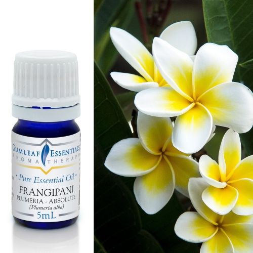 Frangipani (Plumeria absolute) Essential Oil