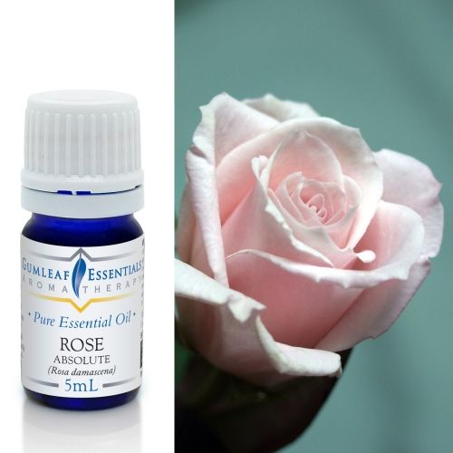 Rose (Absolute) Essential Oil 5ml