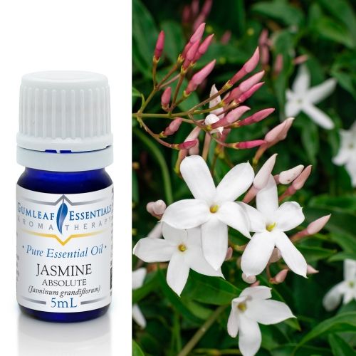 Jasmine (Absolute) Essential Oil 5ml