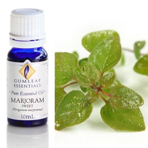 Marjoram (Sweet) Essential Oil