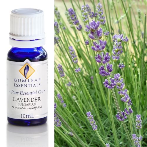 Lavender (Bulgarian) Essential Oil