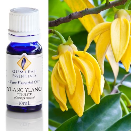 Ylang Ylang (Complete) Essential Oil