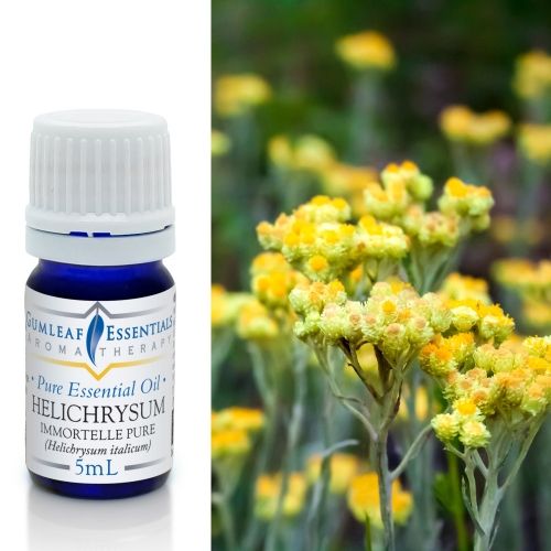 Helichrysum Immortelle (Pure) Essential Oil 5ml