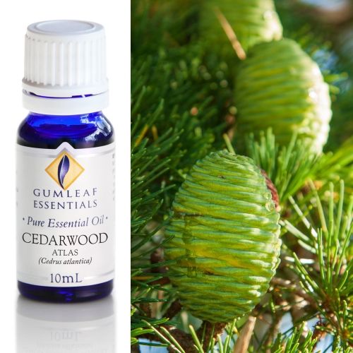 Cedarwood Atlas Essential Oil