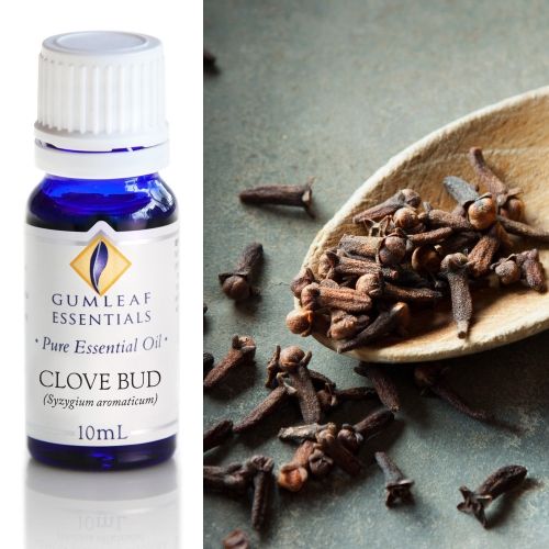 Clove Bud Essential Oil