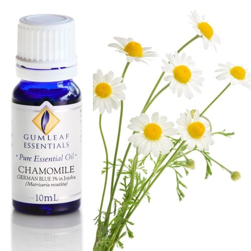Chamomile (German Blue)(3%In Jojoba Oil) Essential Oil Chamomile (German Blue)(3%In Jojoba Oil) Essential Oil