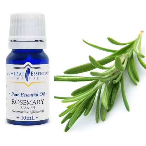 Rosemary (Spanish) Essential oil