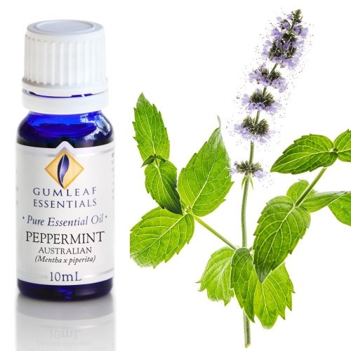 Peppermint (Australian) Essential Oil
