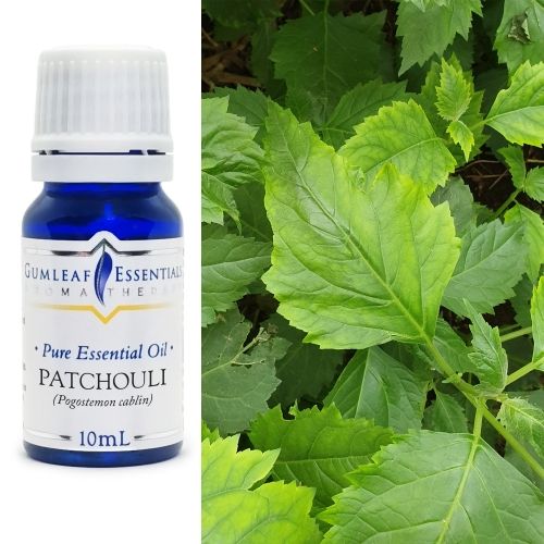 Patchouli Essential Oil