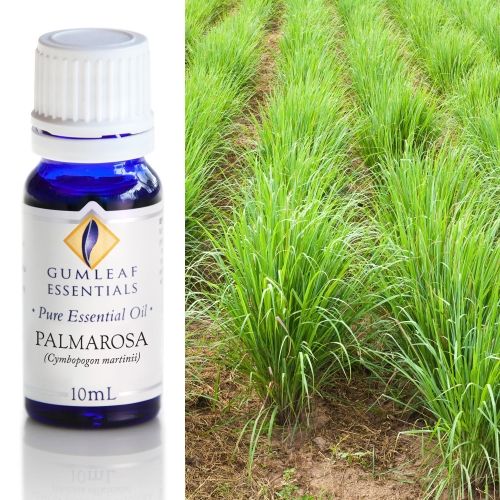 Palmarosa Essential Palmarosa Essential