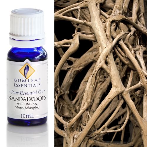 Sandalwood (West Indian) Essential Oil