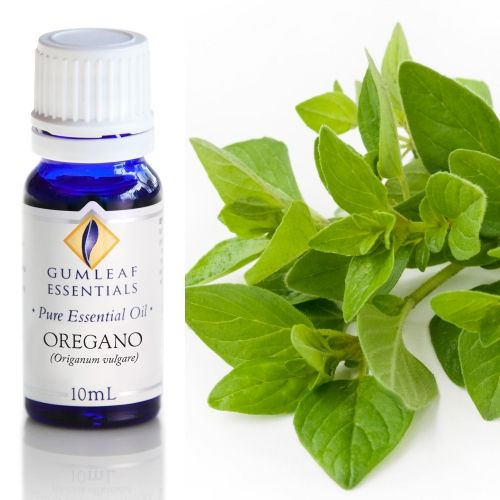 Oregano Essential Oil