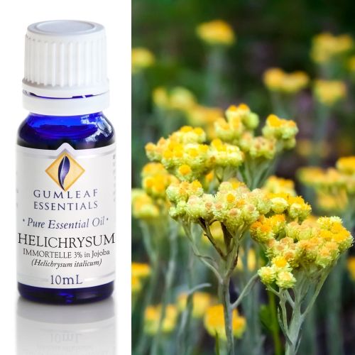 Helichrysum Immortelle (3% in Jojoba) Essential Oil