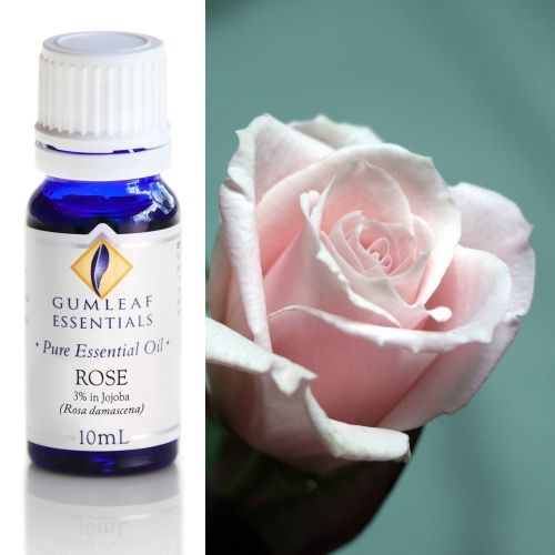 Rose (3% In Jojoba) Essential Oil Rose (3% In Jojoba) Essential Oil
