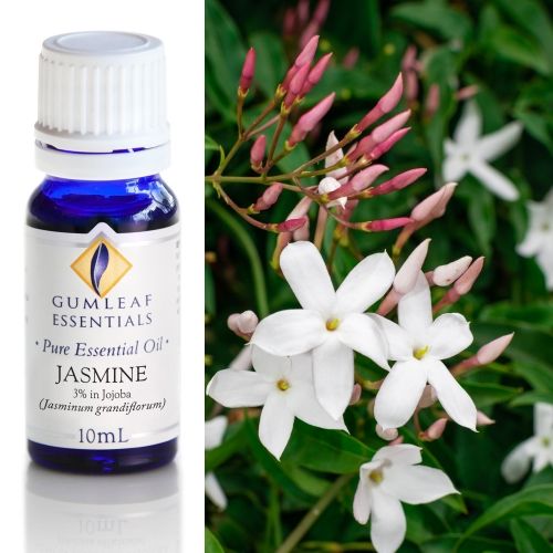 Jasmine (3% in Jojoba) Essential Oil