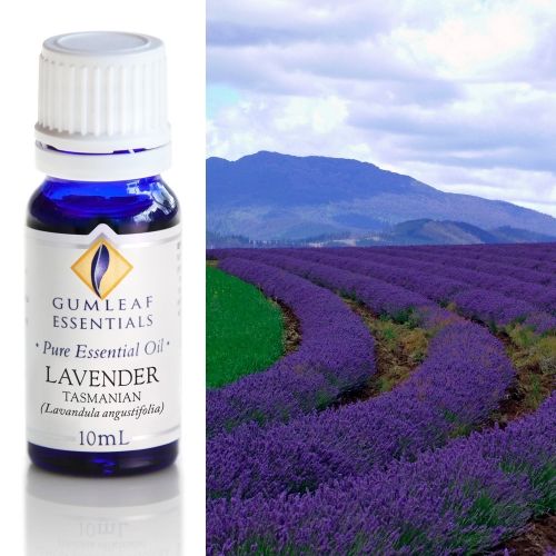 Lavender (Tasmanian) Essential Oil