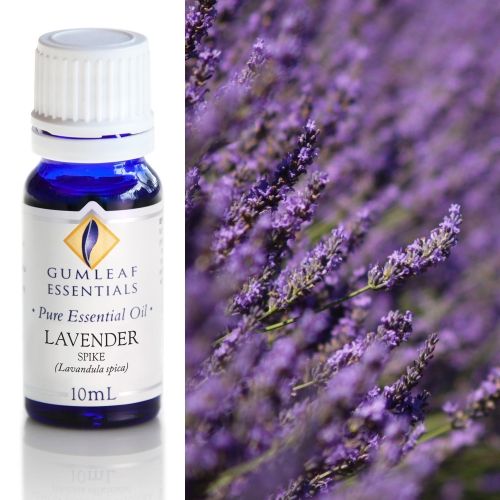 Lavender (Spike) Essential Oil