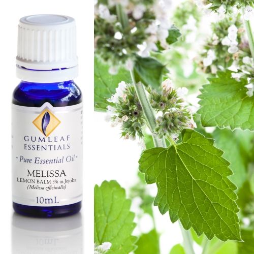 Melissa (Lemon Balm) (3% in Jojoba) Essential Oil