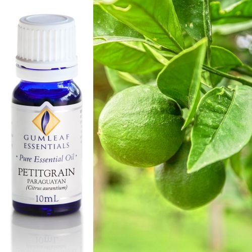 Petitgrain (Paraguayan) Essential Oil
