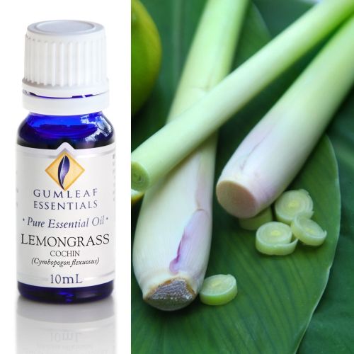 Lemongrass (Cochin)